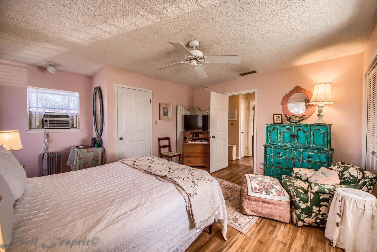 Binky'S Nest Apartment Fredericksburg Bagian luar foto